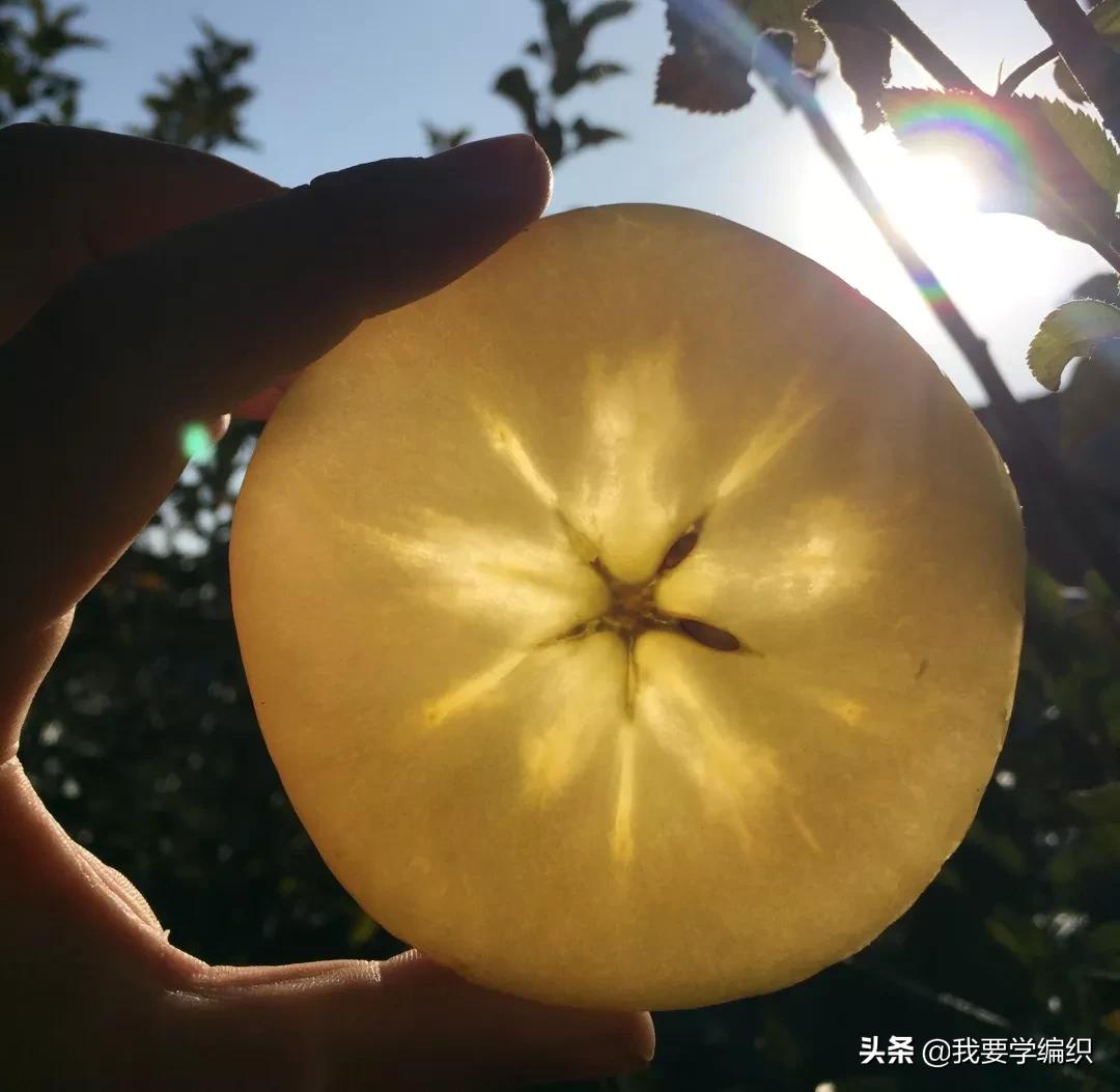 日本天价水果上热搜，苹果100元一个！中国老农却种出奶油富士