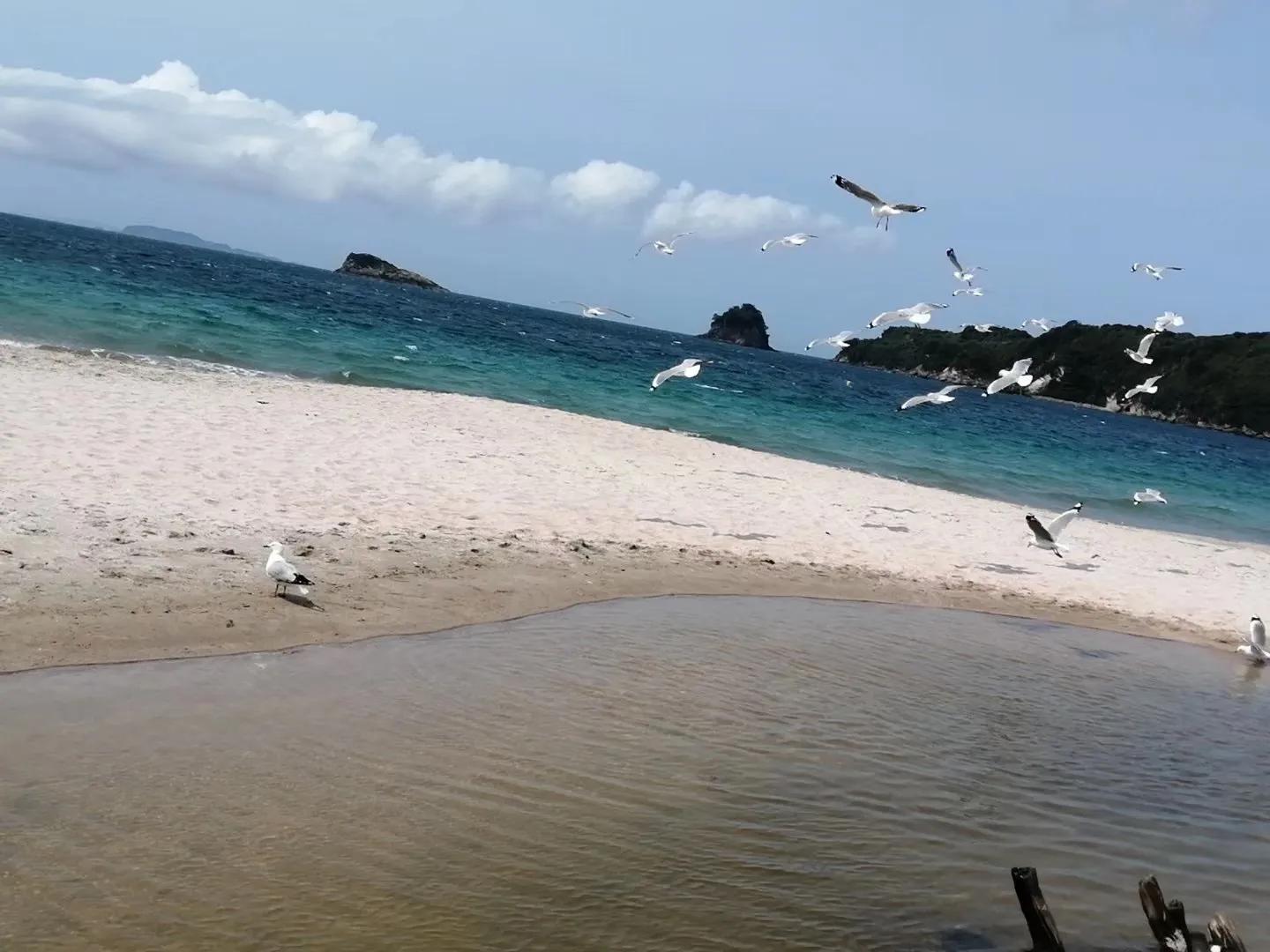 记忆中的旅行之新西兰(北岛)