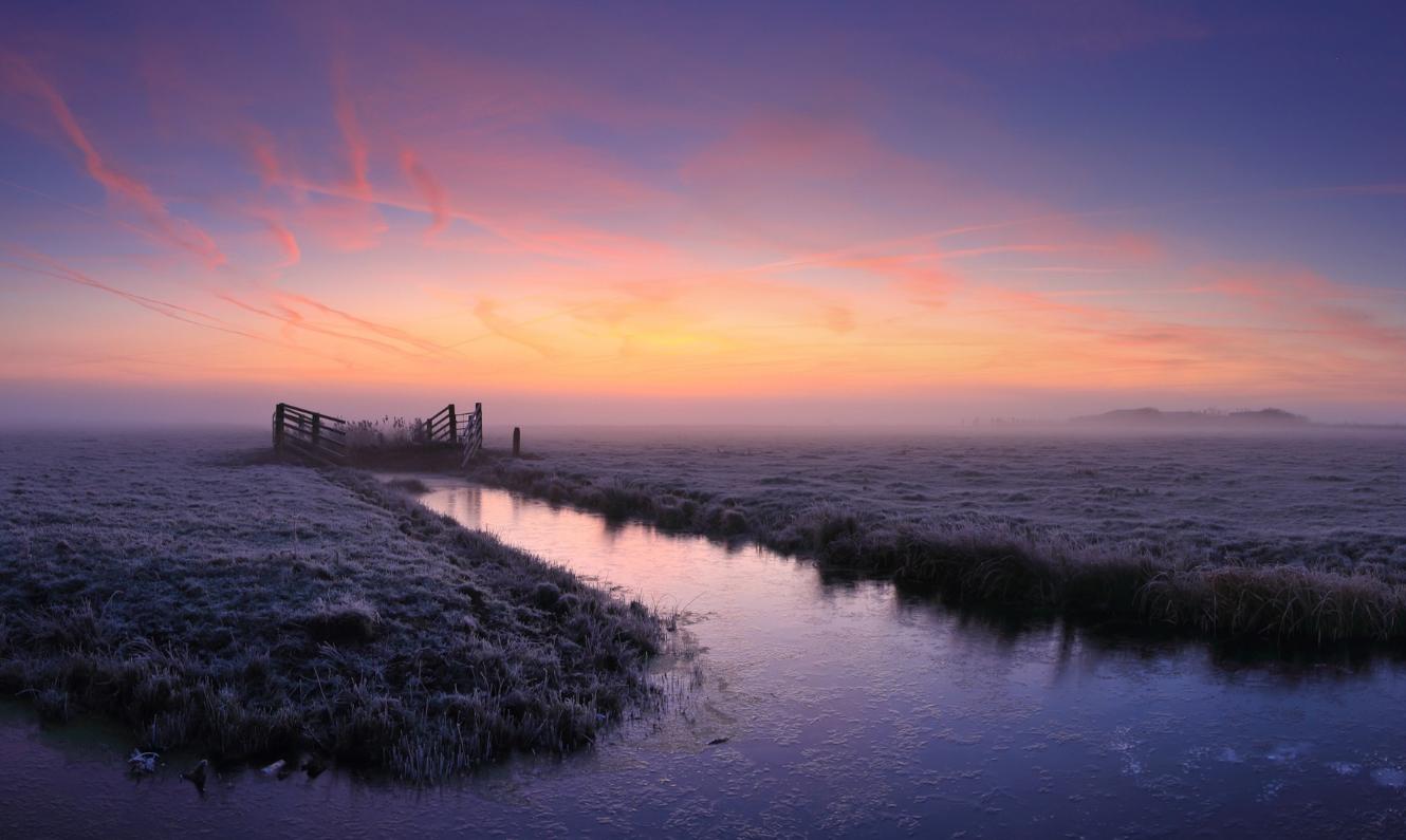 深藏不露低调到令人害怕的星座,城府极深的五个星座狡猾堪比狐狸