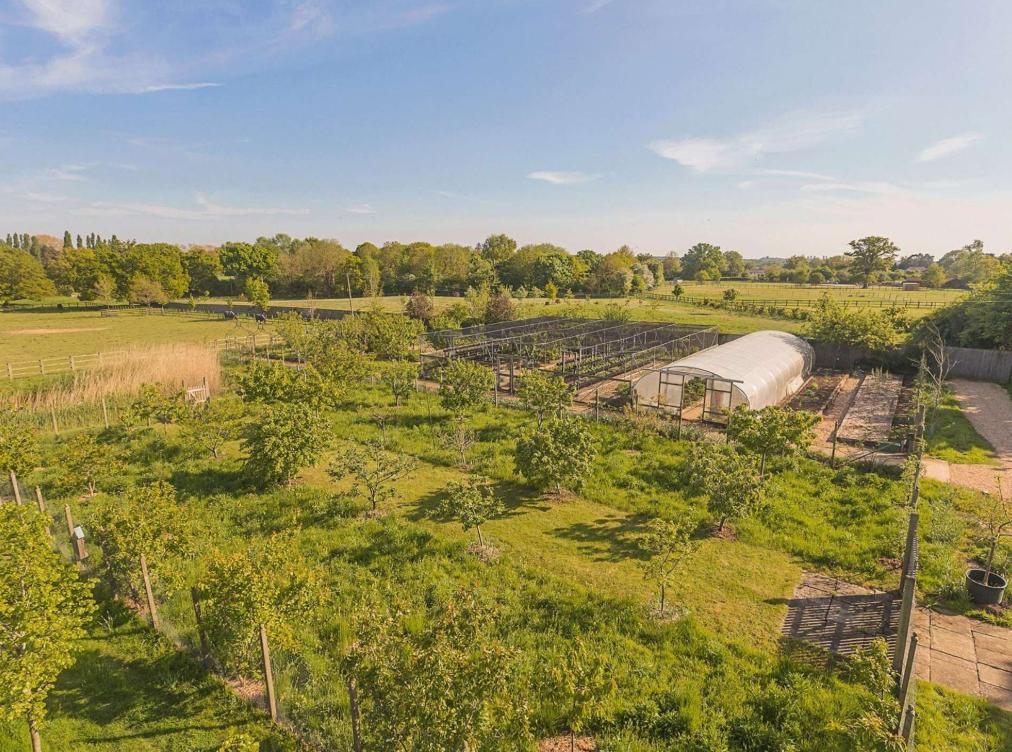 阿联酋总统身家1654亿光在伦敦就有140套豪宅