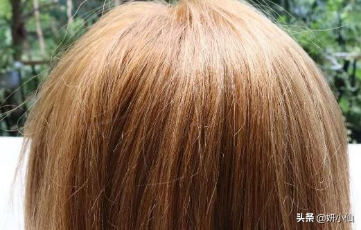 头皮油发尾干用什么洗发水,头皮油发尾是什么发质
