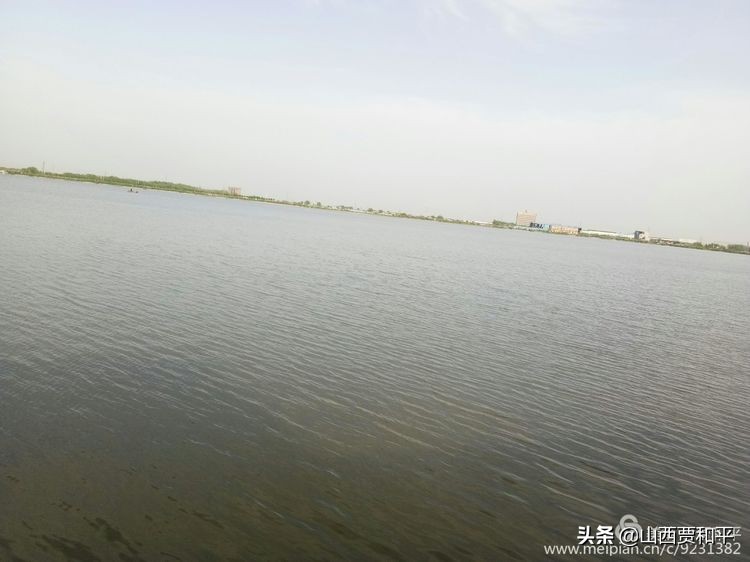 清风徐来水波不兴边款,清风徐来水波不兴图