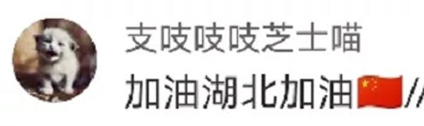 火神山医院10天建设全过程,火神山医院建造时间节点