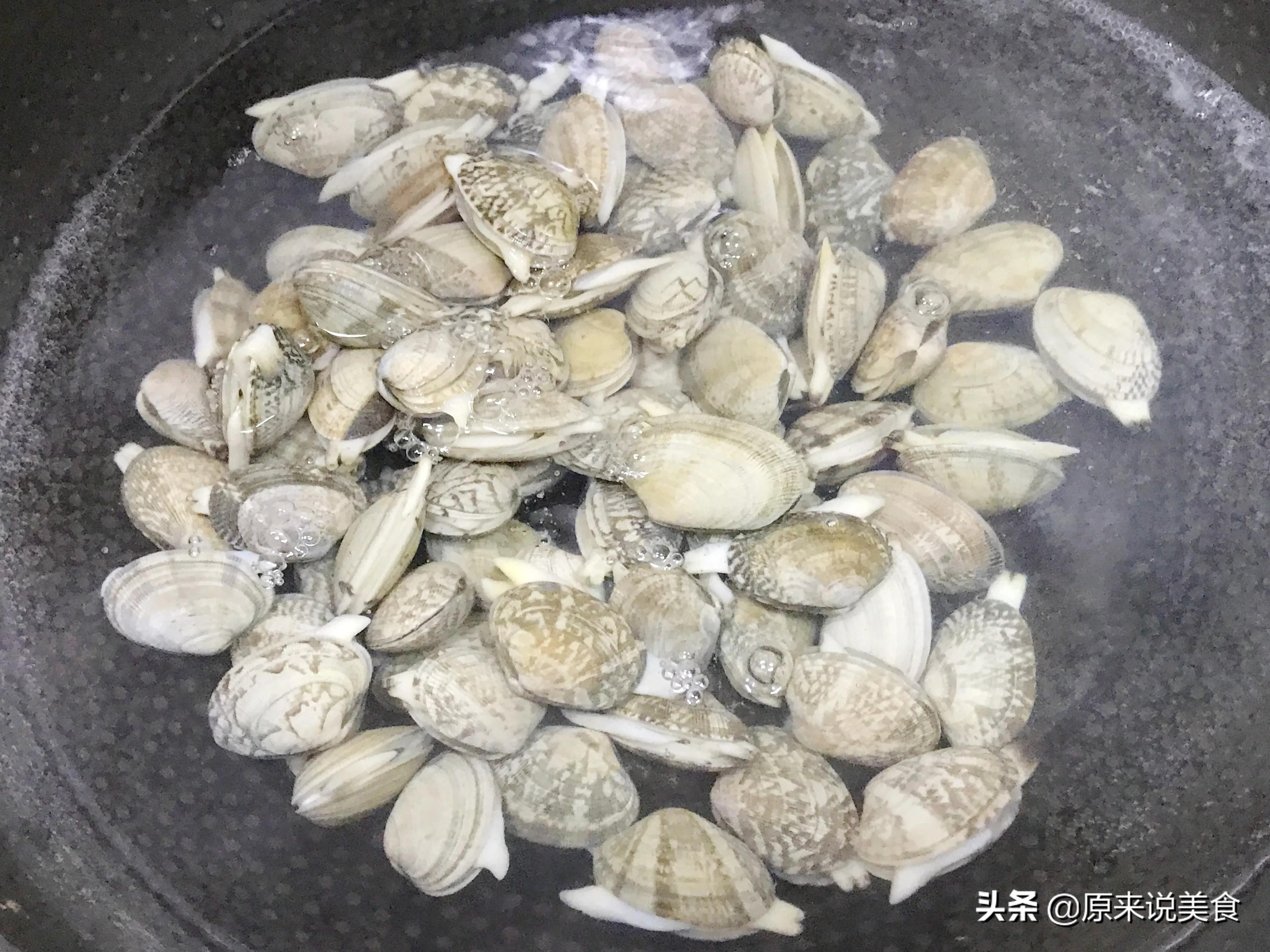蛤蜊冬瓜汤做法蛤蜊要焯水吗,蛤蜊焯水是冷水下锅还是热水下锅