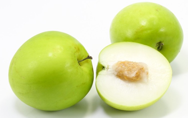 臀部里长了个硬硬的瘤子,臀部上长个瘤子不疼不痒软软的