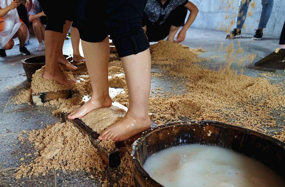 茅台酒踩曲女孩,茅台酒年轻女子踩酒曲