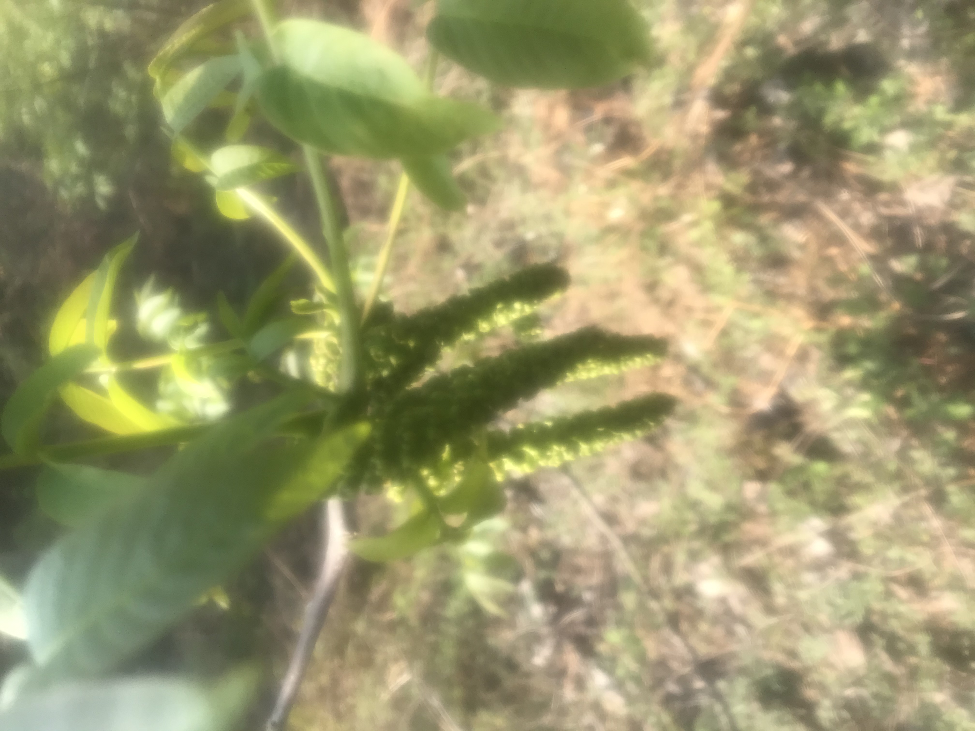 24节气有哪些请写出来,24节气有哪些乐器