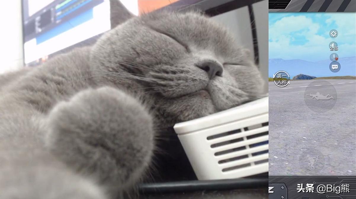 *牙虎**包子用猫来直播，打出21杀吃鸡战绩，粉丝表示要继续看猫！