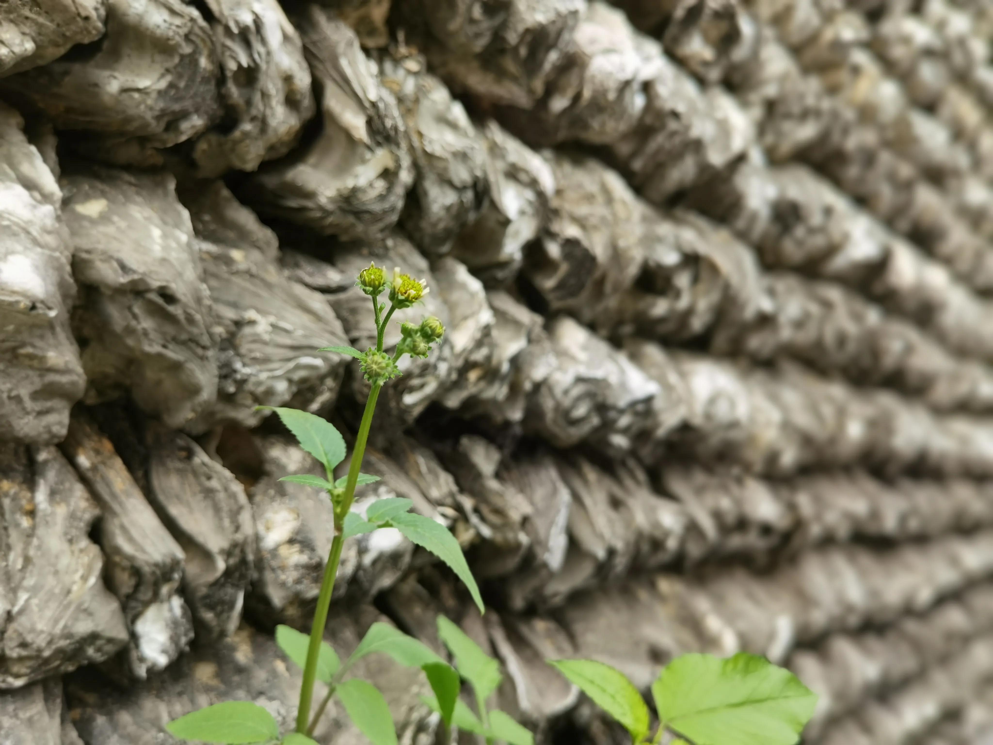 珠海一日游攻略普陀寺,珠海金台寺一日游攻略