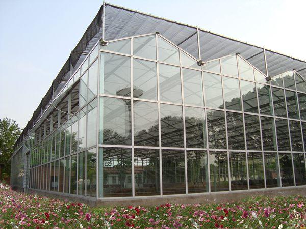 连栋温室大棚每亩造价是多少钱,连栋温室大棚建造多少钱一平米