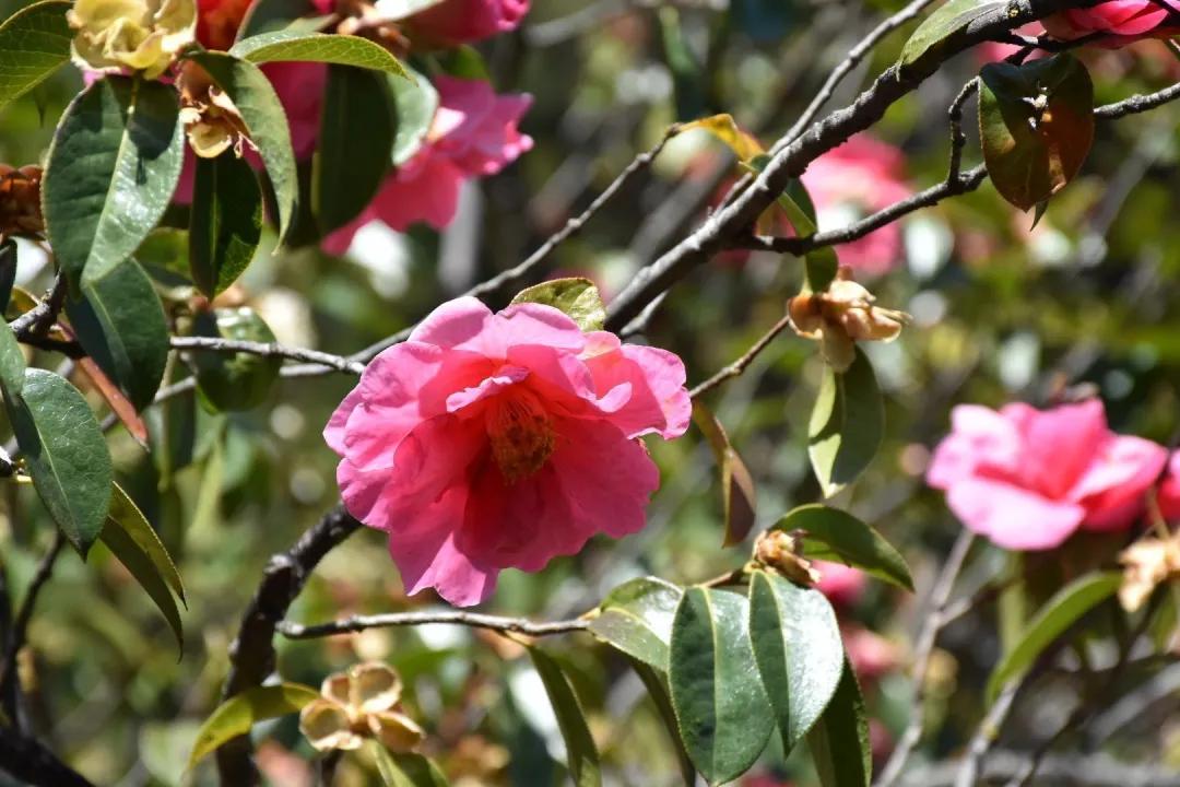 瞧!这花花世界谁不爱