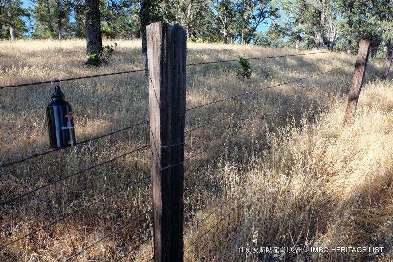 第3045回:人生一世草生一春,来如风雨去似微尘