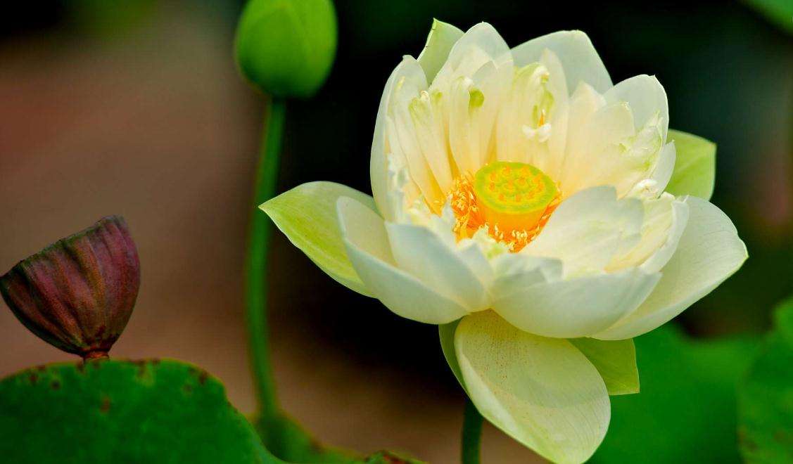 30句为人处世格言句句正能量,为人处世必读的励志名言集锦