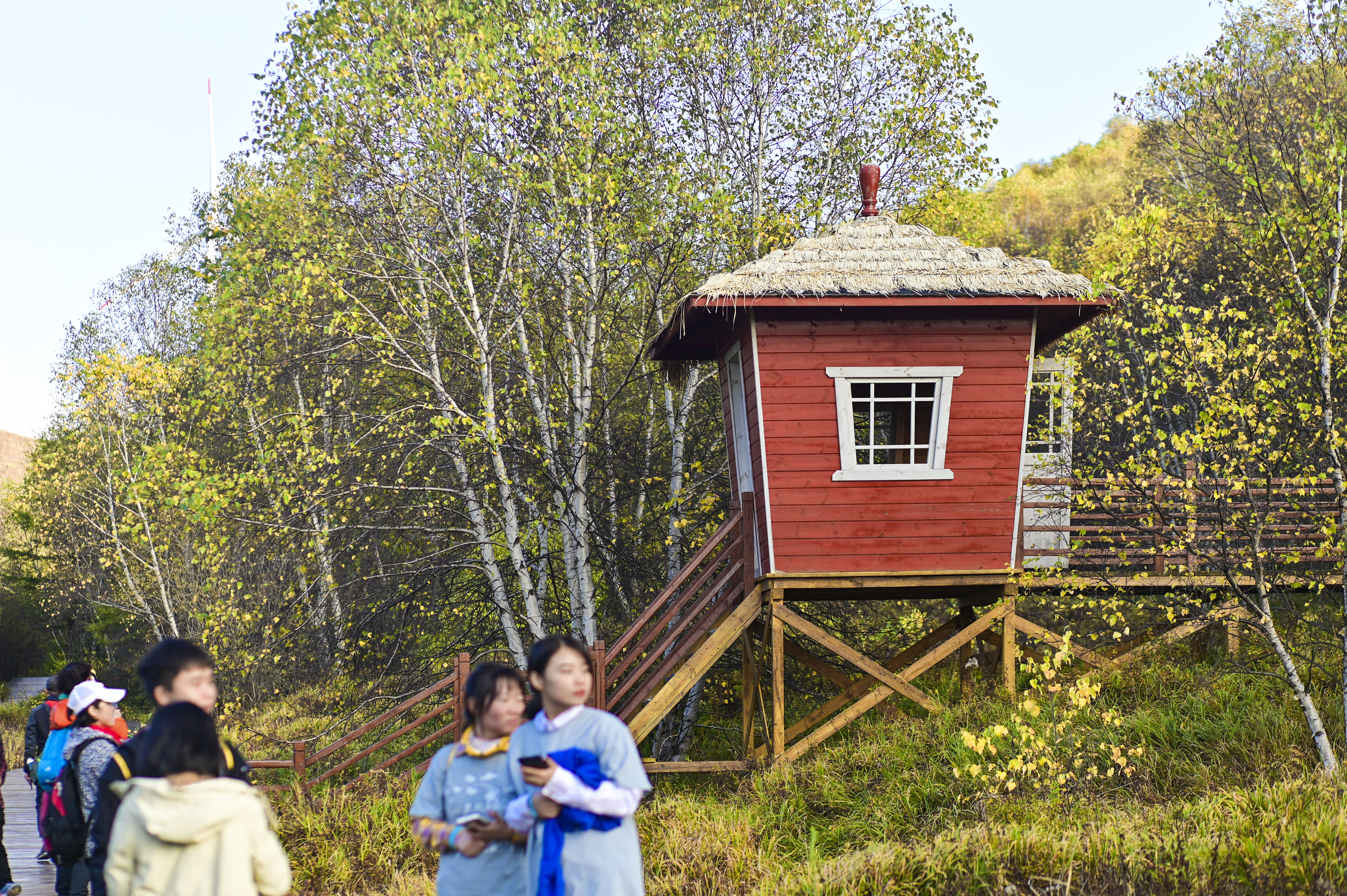 丰宁神仙谷七彩森林景区地图,丰宁坝上七彩森林游玩攻略
