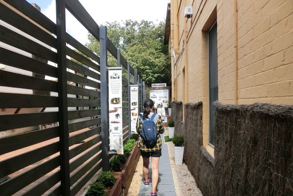 六月的悉尼蓝山风景,悉尼蓝山旅游攻略路线