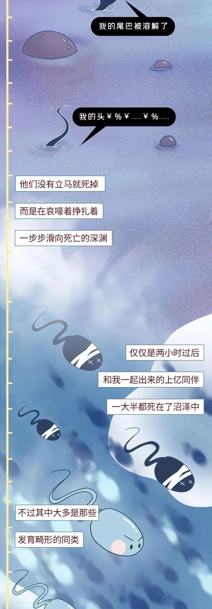 绮惧瓙杩涘叆浜轰綋1灏忔椂鍙樺寲,绮惧瓙杩涘叆浜轰綋48灏忔椂鍙樺寲
