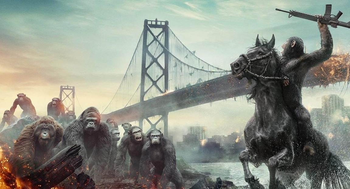 预测：20年后人类可与猫狗聊天！桂林狗肉节岂不呼救声一片￼