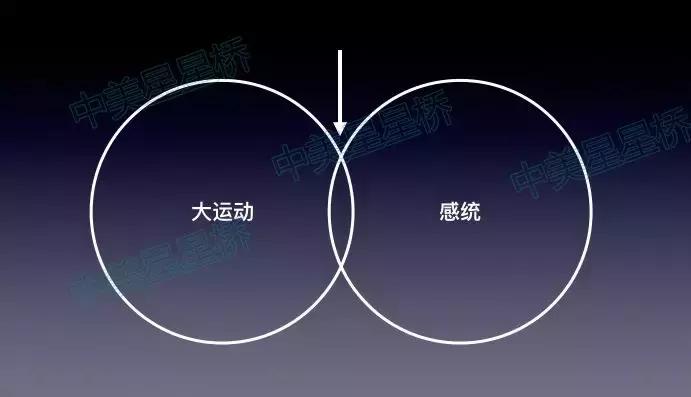 如何在运动中辅助治疗自闭症？感统、大运动、LSP······