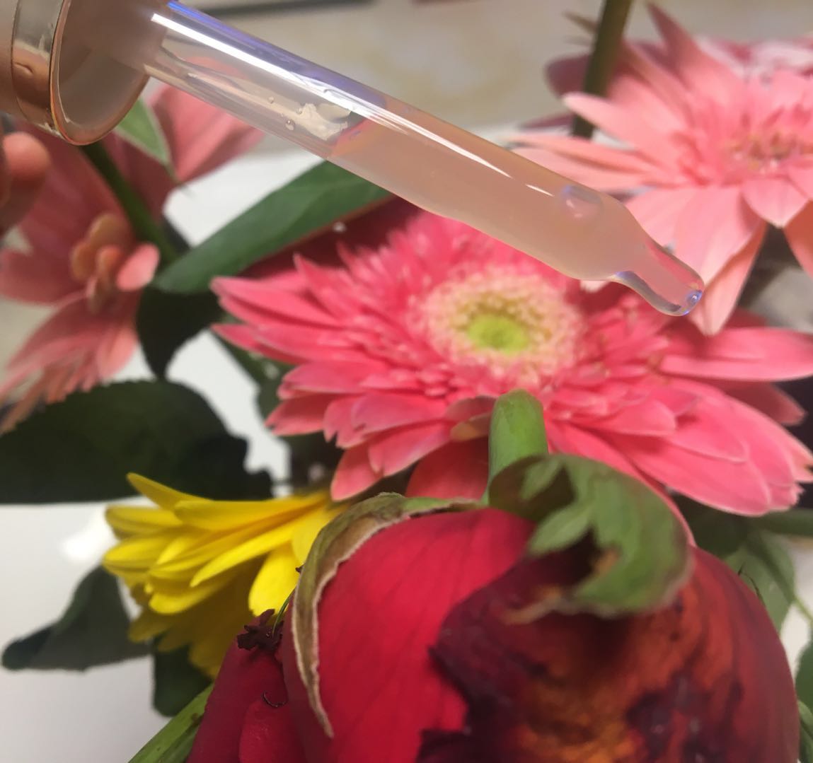 雅诗兰黛小棕瓶测评带货视频合拍,雅诗兰黛小棕瓶精华100ml辨真假