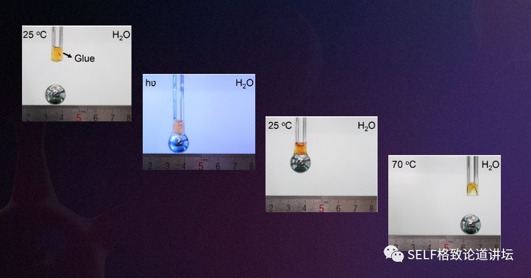 诺贝尔奖中的有机化学,为什么诺贝尔化学奖很少