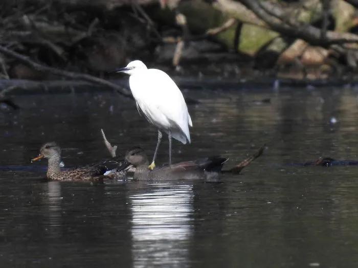 考清华北大其实很简单,有没有谁考清华北大很容易的