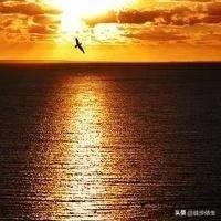 打破日本技术*锁封**，中国碳素鱼竿重大突破，这样的鱼竿谁都想要