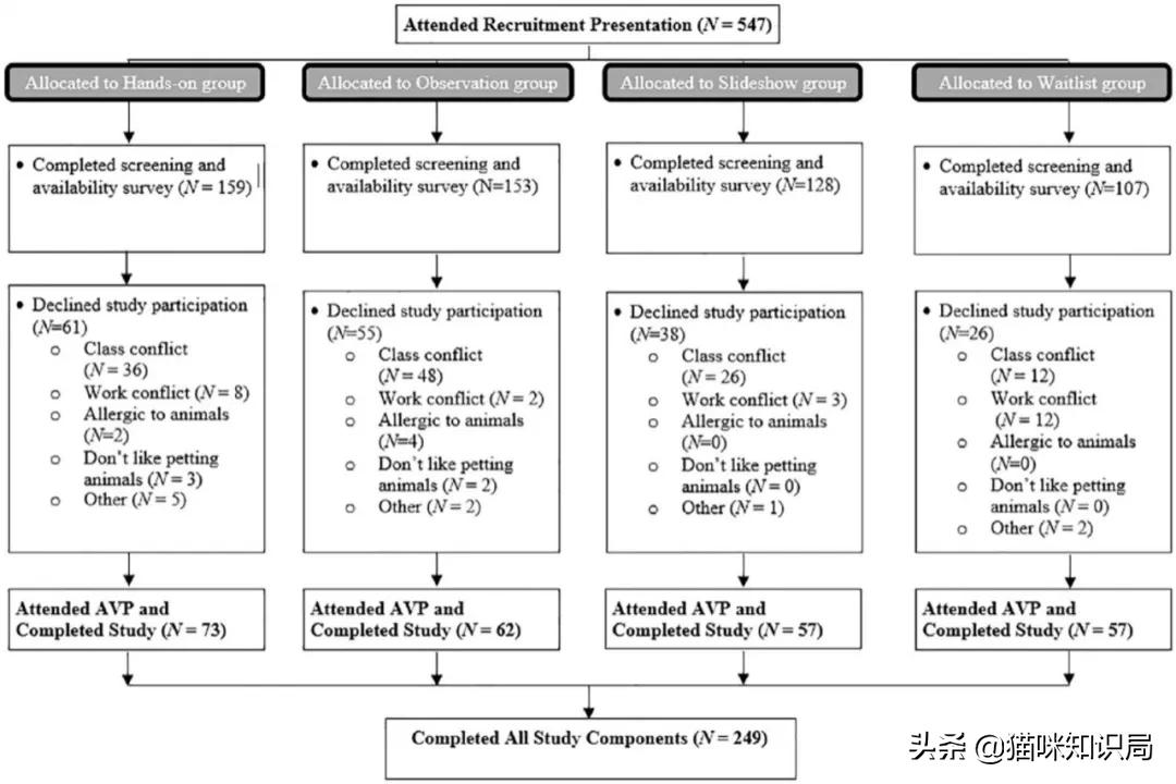 转发给爸妈：养猫到底有啥好？能治病
