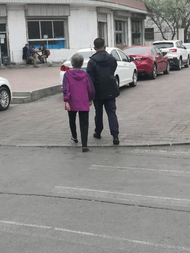 西夏的演变,西夏区发展现状