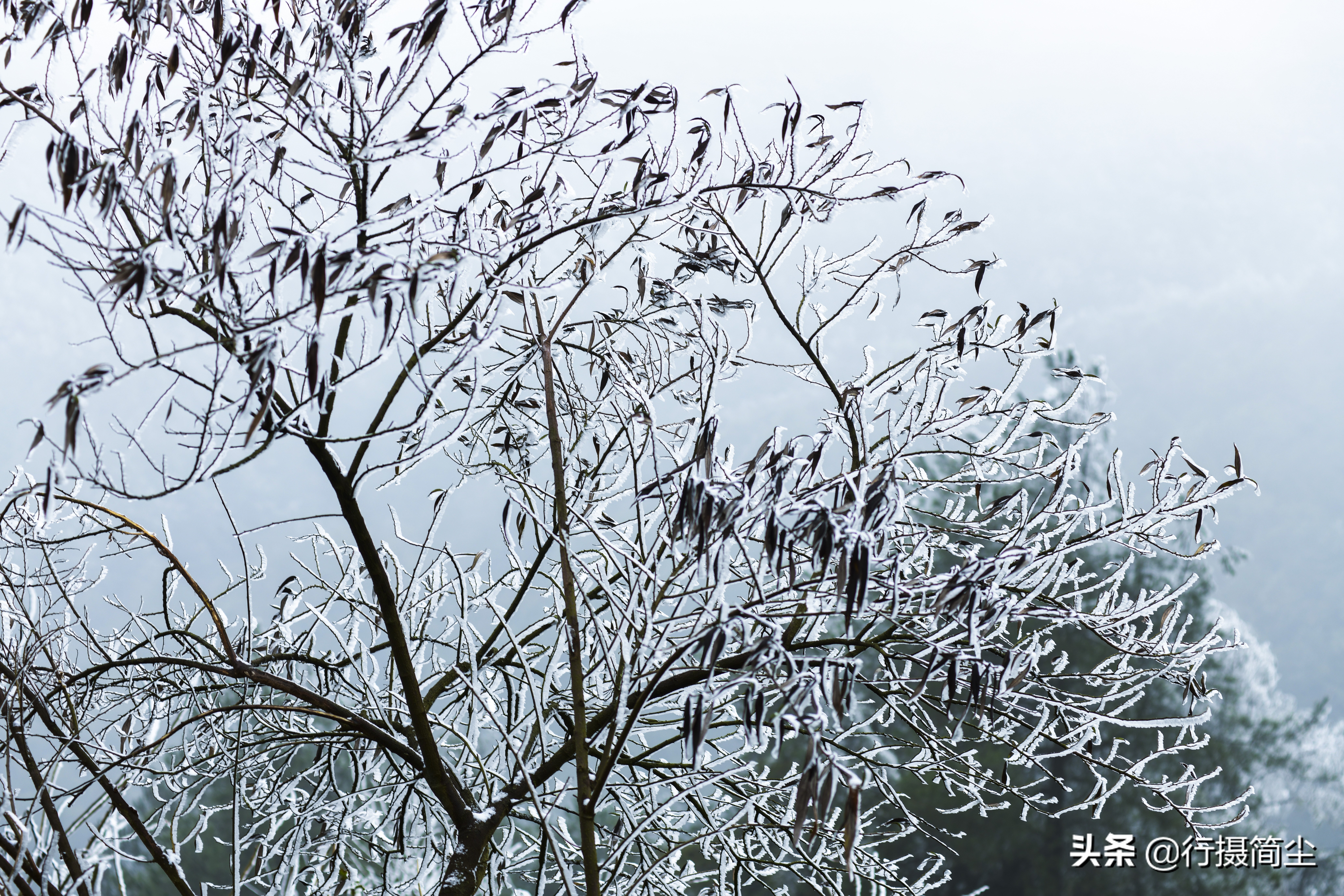 华蓥山宝鼎雪景航拍,华蓥山宝鼎冬天看日出