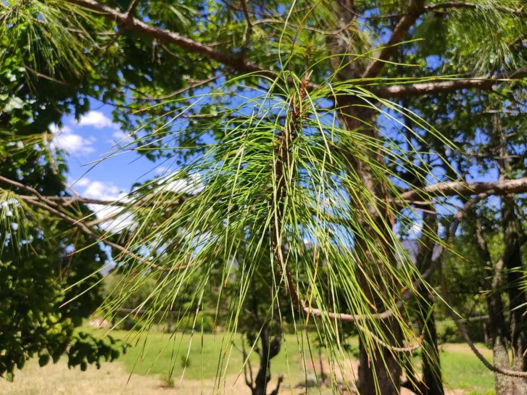 dc24h亲子训练营,dc训练半小时