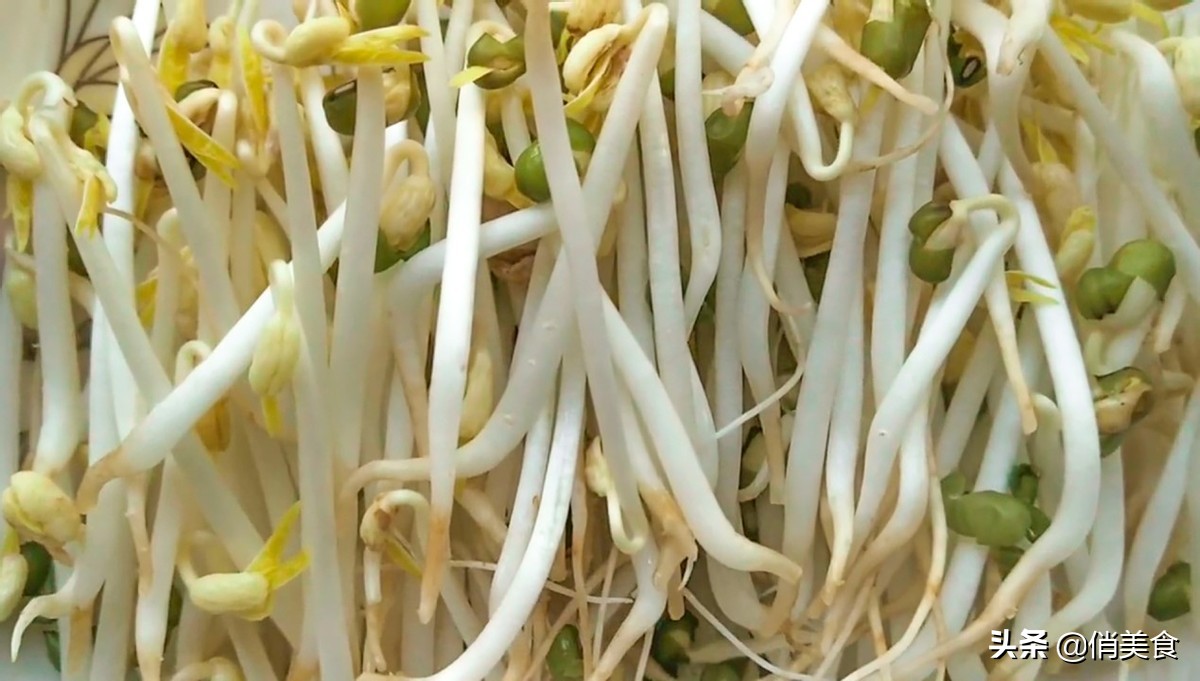 家庭自制绿豆芽的做法,家庭自制绿豆芽做法
