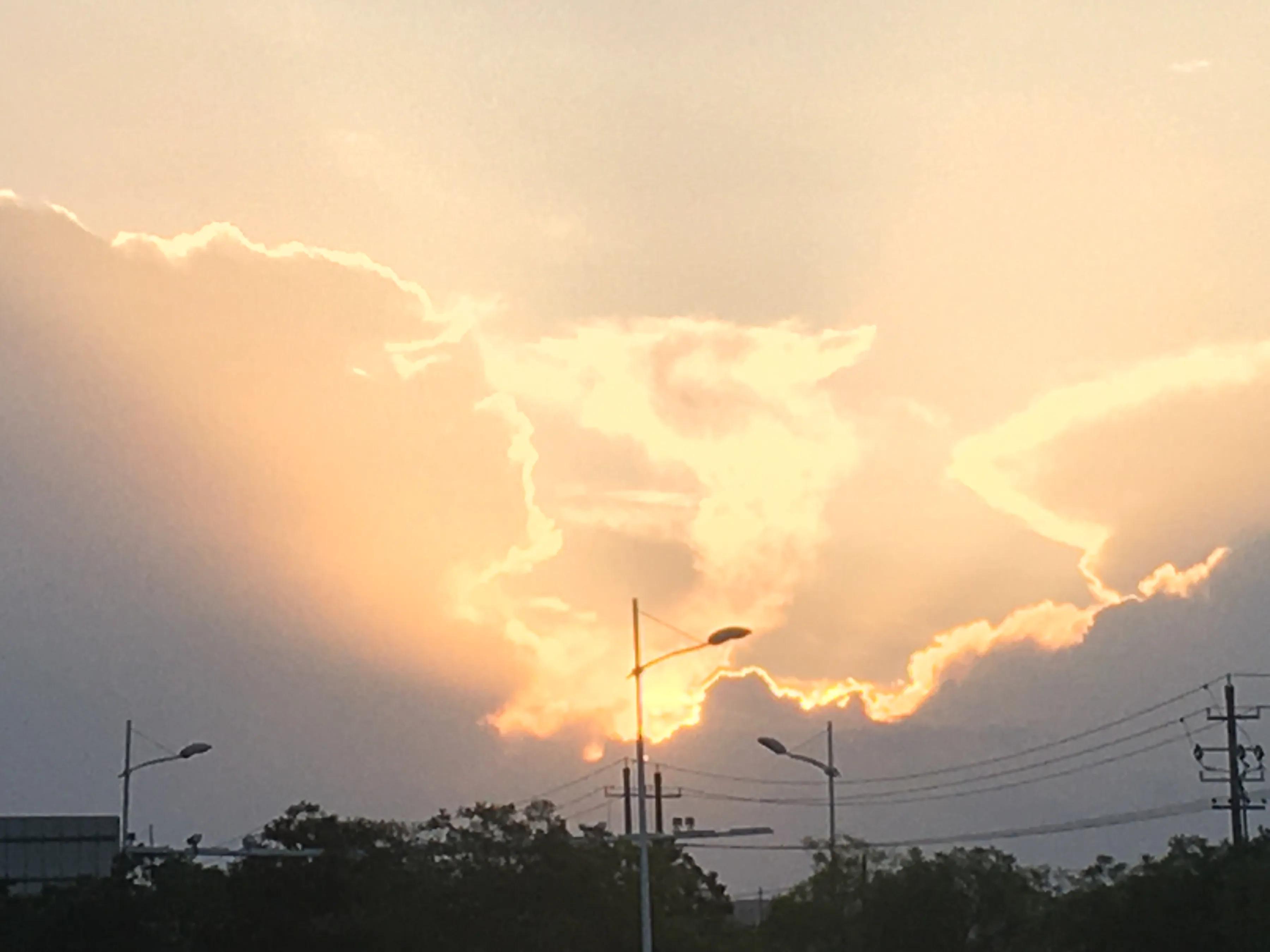 欧亨利最后的常春藤叶故事梗概,最后一片常春藤叶欧亨利结尾分析