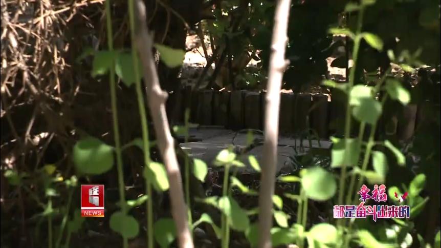 家门口的公园开放了幸福感倍增,家门口的变化资料