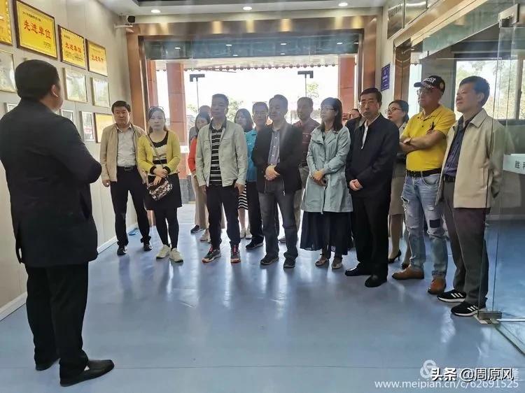 赴一场春日的邀约,五月赴一场与槐花的约会