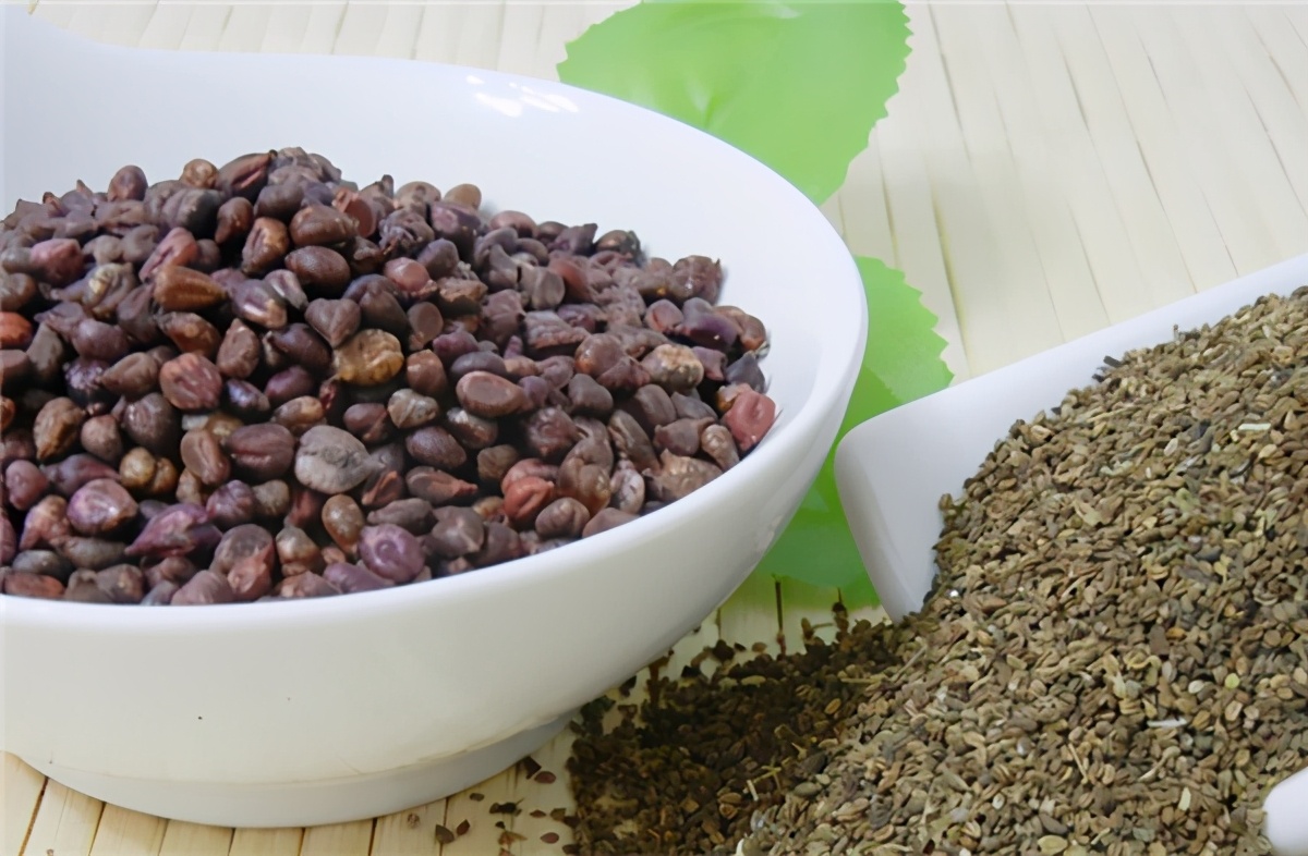 澳药健康芹菜籽精华素|9斤鲜芹提取1粒