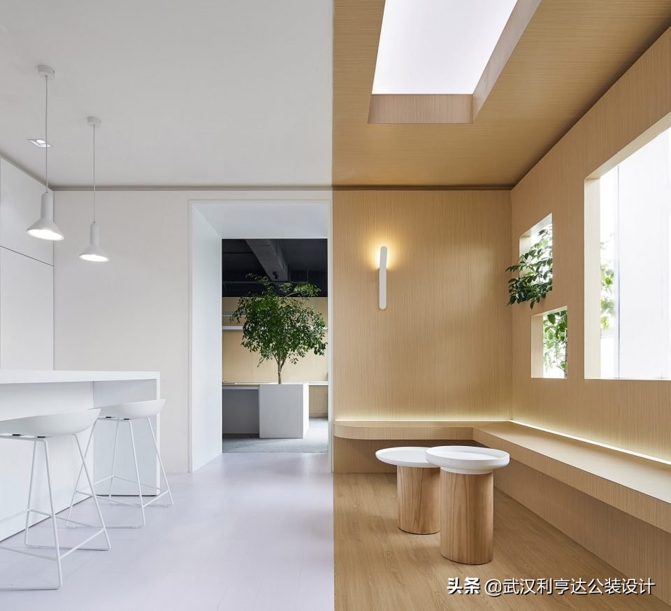 绿意盎然的氛围感,让你的办公环境变得更舒心