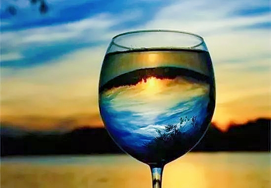 seetheelephant,seeingtheelephant