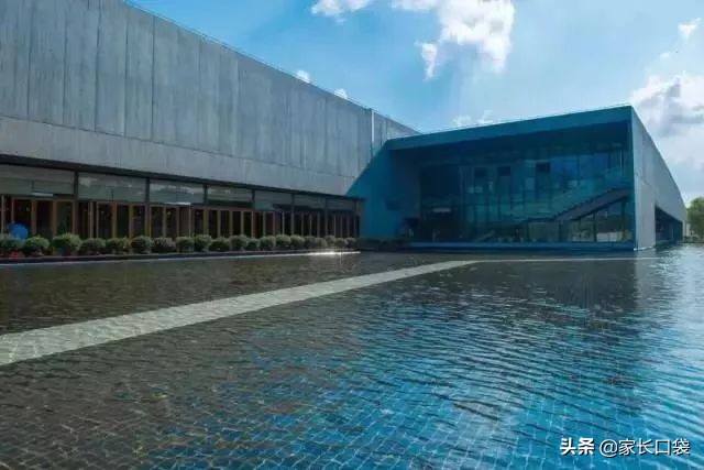 上这些小学就傍上了国外名校大腿！上海国际资源牛掰的小学在这里