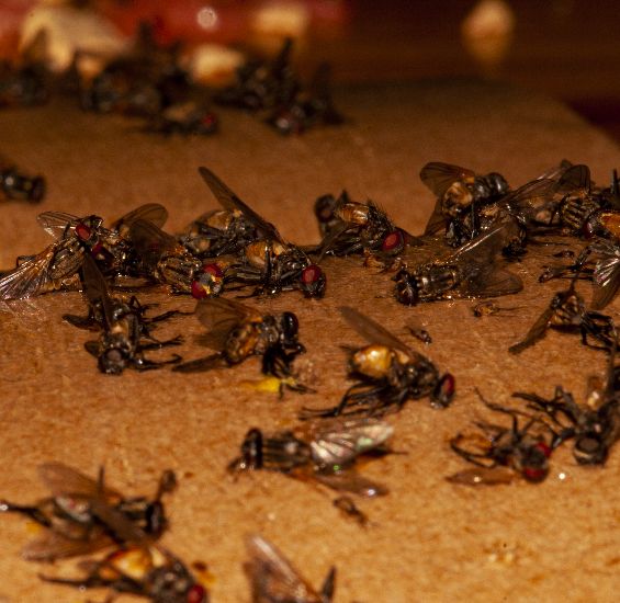 尼康d700拍星空详细教程,尼康d700入门全教程图解