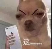 女星用自己胎盘当补药，揭秘人体胎盘｜Youth予小希观察