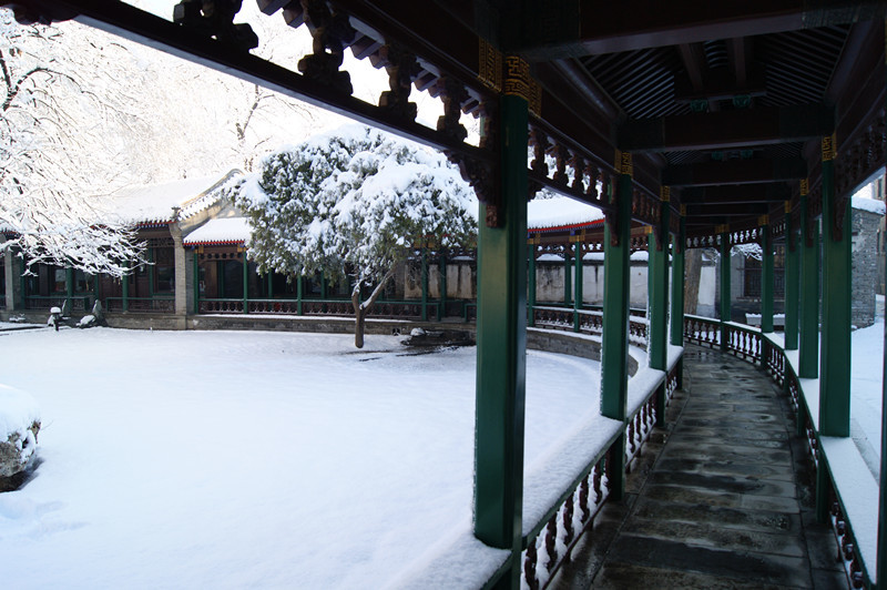 每日一校北京大学,每日一校领科教育