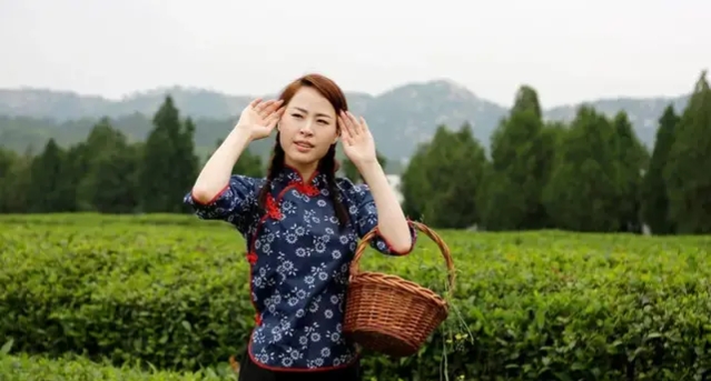 临沂二中北校区地区,临沂二型大城市