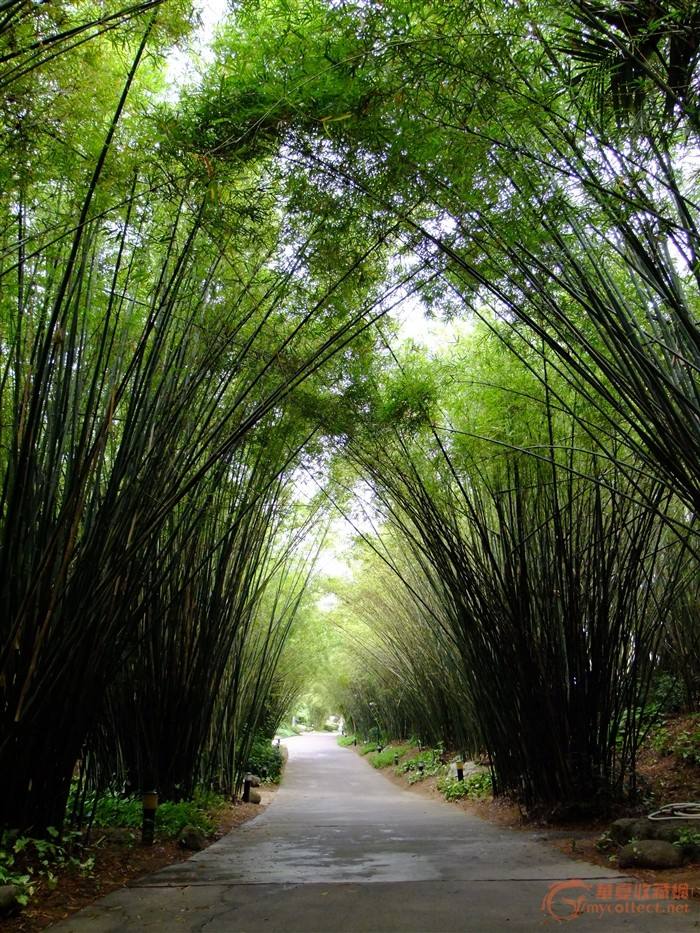 最正确的自己,最开始的我