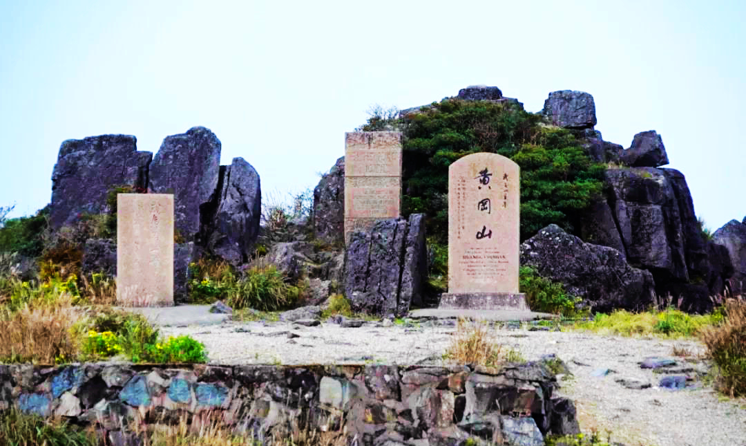 江西武陵红茶,江西最好的红茶