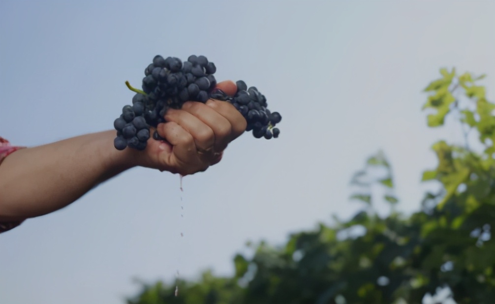 此按摩非彼按摩,硬嗑乳房按摩那些事儿