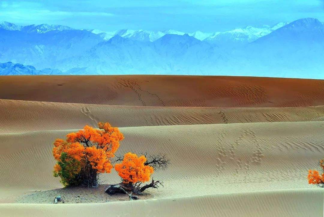 青海哪个城市的面积最大,青海各州面积排名