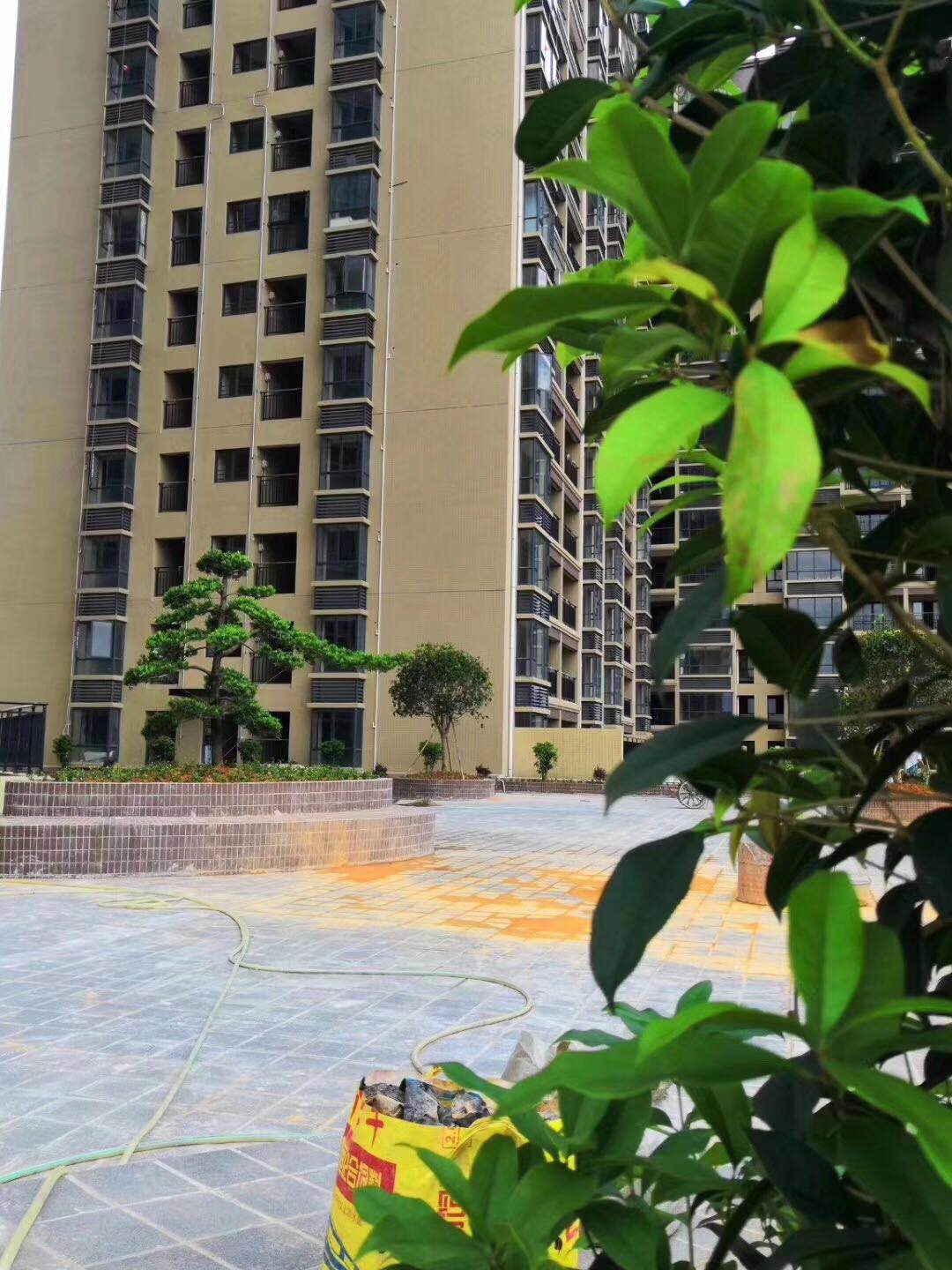 松山湖中心花园,大朗松山湖房价