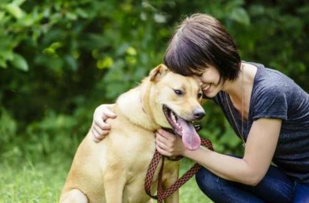 狗狗哪些部位不能摸,狗狗这几个部位不能随便洗