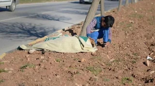 情感23张图片,23张爱与人性的照片