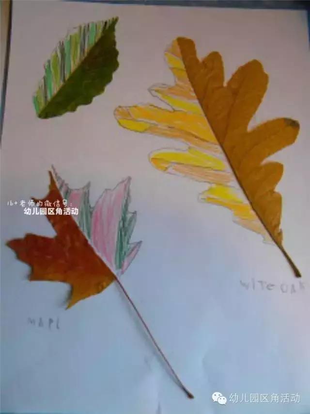 绉嬪ぉ涓婚鍖哄煙娲诲姩璁捐鏂规,绉嬪ぉ涓婚璇剧▼娲诲姩鏂规璁捐